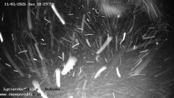 Dětská lyžařská školka