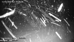 Dětská lyžařská školka