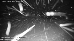 Dětská lyžařská školka