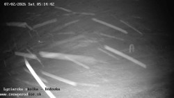 Dětská lyžařská školka