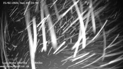 Dětská lyžařská školka