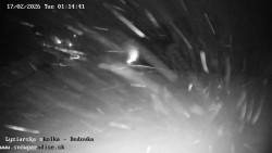 Dětská lyžařská školka