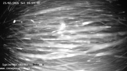 Dětská lyžařská školka