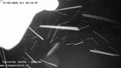 Dětská lyžařská školka