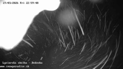 Dětská lyžařská školka