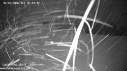 Dětská lyžařská školka