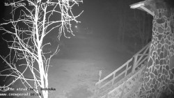 Dětská lyžařská školka