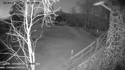 Dětská lyžařská školka