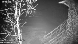 Dětská lyžařská školka