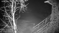 Dětská lyžařská školka