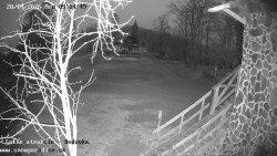 Dětská lyžařská školka