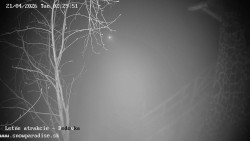 Dětská lyžařská školka