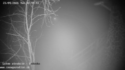 Dětská lyžařská školka