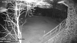 Dětská lyžařská školka