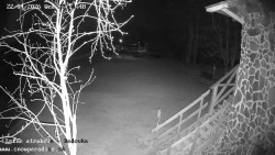 Dětská lyžařská školka