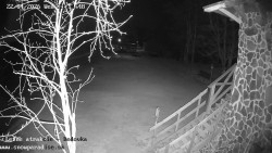 Dětská lyžařská školka