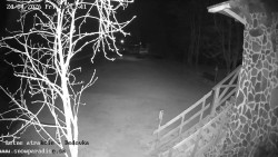 Dětská lyžařská školka