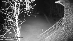 Dětská lyžařská školka