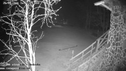 Dětská lyžařská školka