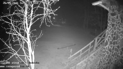 Dětská lyžařská školka