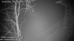 Dětská lyžařská školka