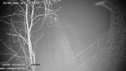 Dětská lyžařská školka