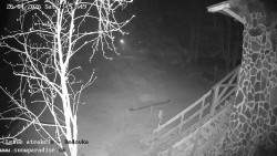 Dětská lyžařská školka