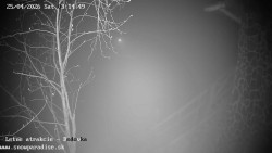 Dětská lyžařská školka