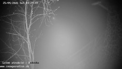 Dětská lyžařská školka