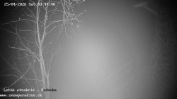 Dětská lyžařská školka