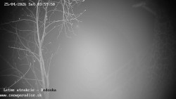 Dětská lyžařská školka