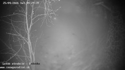 Dětská lyžařská školka