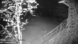 Dětská lyžařská školka