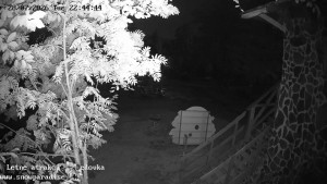 Snowparadise Veľká Rača - Dětská lyžařská školka - 28.7.2026 v 22:45 Snowparadise Veľká Rača - Dětská lyžařská školka - 28.7.2026 v 22:45