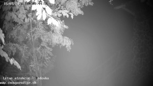 Snowparadise Veľká Rača - Dětská lyžařská školka - 15.9.2026 v 00:45 Snowparadise Veľká Rača - Dětská lyžařská školka - 15.9.2026 v 00:45