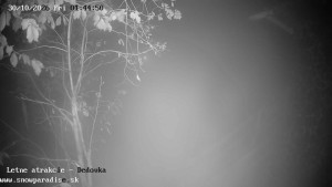 Snowparadies Veľká Rača - Ski-Kindergarten für Kinder - 30.10.2026 v 01:45 Snowparadies Veľká Rača - Ski-Kindergarten für Kinder - 30.10.2026 v 01:45