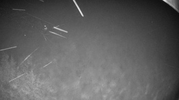 Snímek    27.10.2025 v 22:45