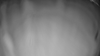 Snímek    3.11.2025 v 05:32