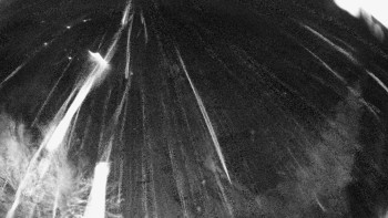 Snímek    3.11.2025 v 22:02