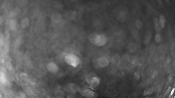 Snímek 19.11.2025 v 18:15