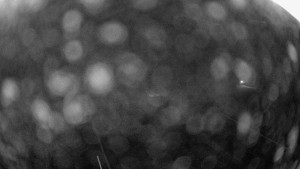 Snowparadise Veľká Rača - Dedovka vrchol - 31.12.2025 v 02:15 Snowparadise Veľká Rača - Dedovka vrchol - 31.12.2025 v 02:15