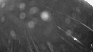 Snowparadise Veľká Rača - Dedovka vrchol - 31.12.2025 v 03:32 Snowparadise Veľká Rača - Dedovka vrchol - 31.12.2025 v 03:32