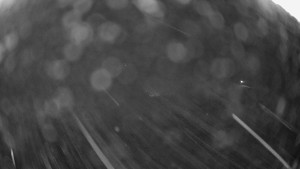 Snowparadise Veľká Rača - Dedovka vrchol - 31.12.2025 v 04:15 Snowparadise Veľká Rača - Dedovka vrchol - 31.12.2025 v 04:15