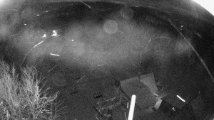 Snowparadise Veľká Rača - Dedovka vrchol - 2.1.2026 v 03:32 Snowparadise Veľká Rača - Dedovka vrchol - 2.1.2026 v 03:32