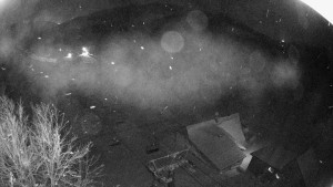 Snowparadise Veľká Rača - Dedovka vrchol - 2.1.2026 v 05:02 Snowparadise Veľká Rača - Dedovka vrchol - 2.1.2026 v 05:02