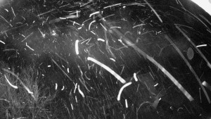 Snowparadise Veľká Rača - Dedovka vrchol - 2.1.2026 v 05:32 Snowparadise Veľká Rača - Dedovka vrchol - 2.1.2026 v 05:32