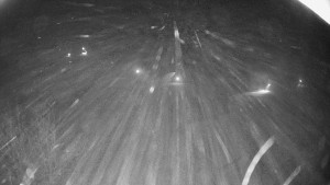 Snowparadise Veľká Rača - Dedovka vrchol - 7.1.2026 v 02:02 Snowparadise Veľká Rača - Dedovka vrchol - 7.1.2026 v 02:02