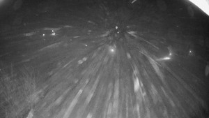 Snowparadise Veľká Rača - Dedovka vrchol - 7.1.2026 v 02:32 Snowparadise Veľká Rača - Dedovka vrchol - 7.1.2026 v 02:32