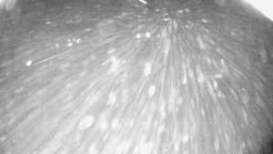 Snowparadise Veľká Rača - Dedovka vrchol - 7.1.2026 v 05:15 Snowparadise Veľká Rača - Dedovka vrchol - 7.1.2026 v 05:15