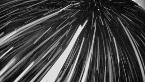 Snowparadise Veľká Rača - Dedovka vrchol - 14.2.2026 v 23:02 Snowparadise Veľká Rača - Dedovka vrchol - 14.2.2026 v 23:02